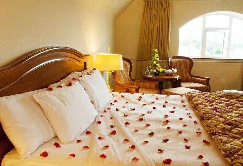 غرفة كلاسيكية, Killarney Avenue