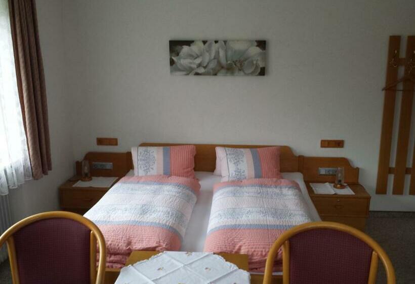 Номер Стандарт с Балконом, Pension Wildental