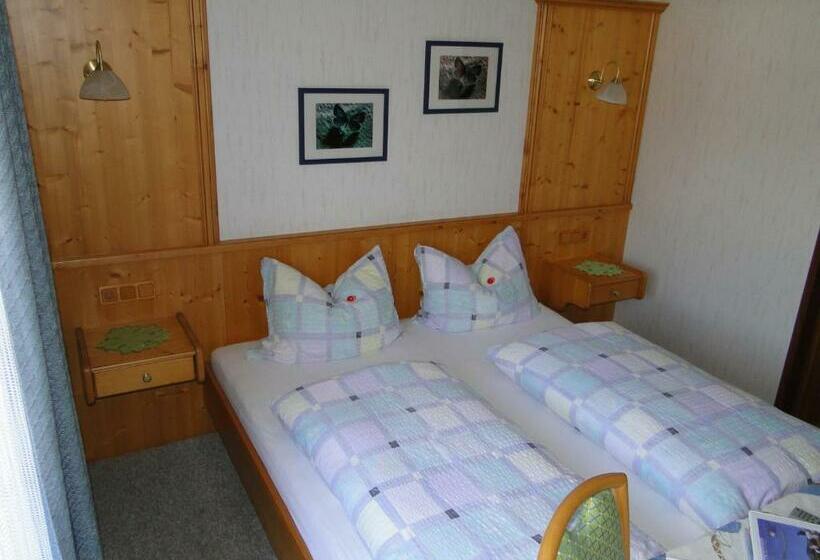 Номер Стандарт с Балконом, Pension Wildental