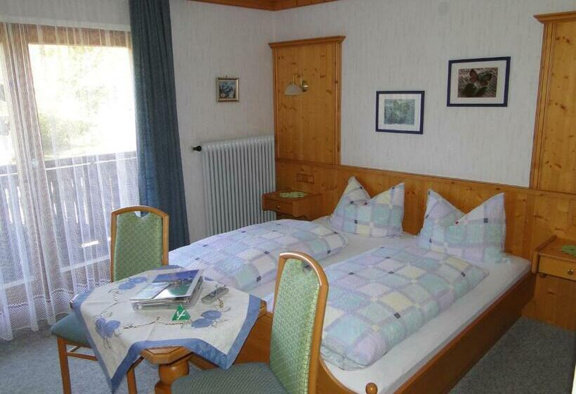 Номер Стандарт с Балконом, Pension Wildental