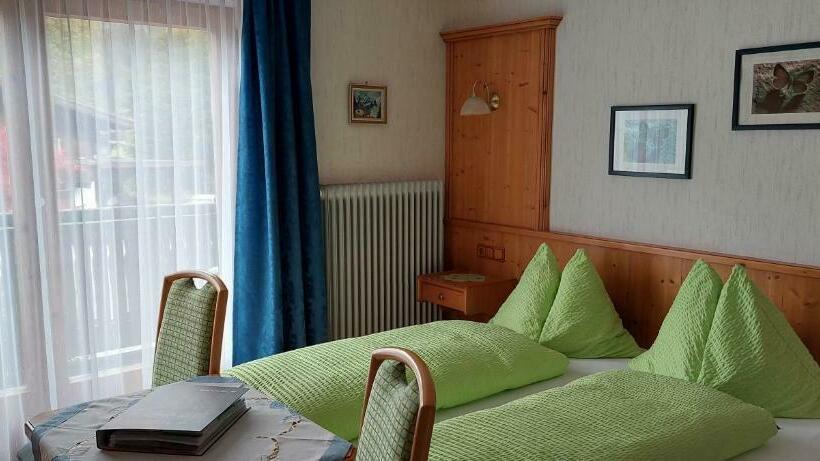 Номер Стандарт с Балконом, Pension Wildental