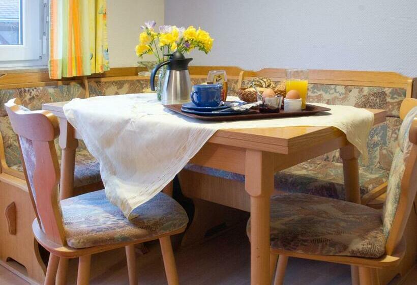 Апартаменты 1 Спальня Нижний Этаж, Landpension Am Sommerhang