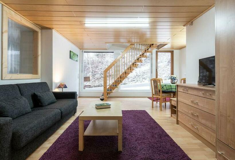 Апартаменты 1 Спальня с Террасой, Landpension Am Sommerhang