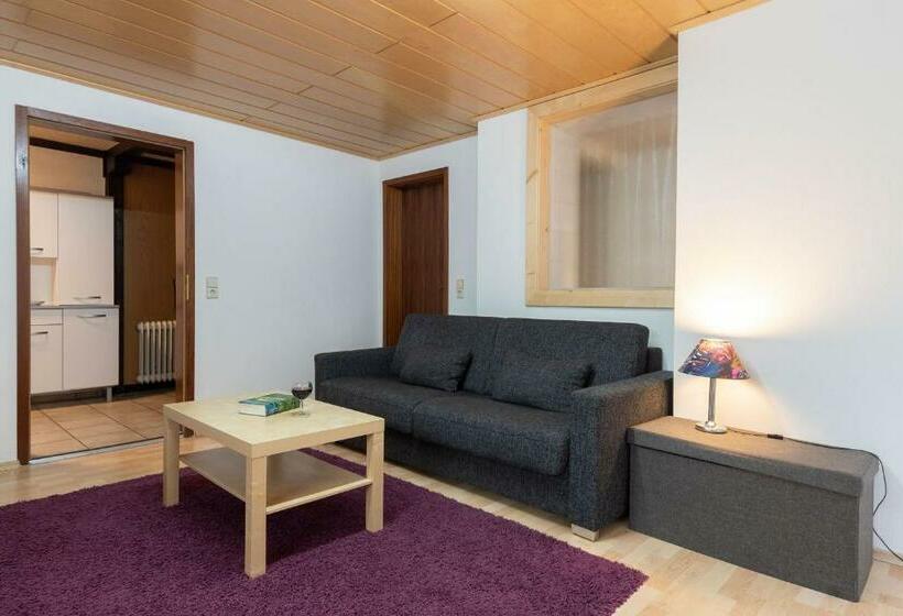 Апартаменты 1 Спальня с Террасой, Landpension Am Sommerhang