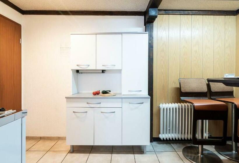 Апартаменты 1 Спальня с Террасой, Landpension Am Sommerhang