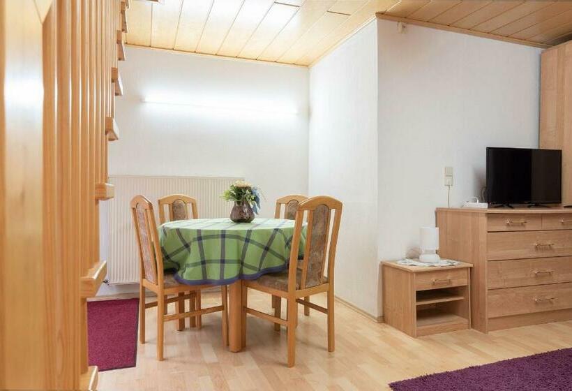 Апартаменты 1 Спальня с Террасой, Landpension Am Sommerhang