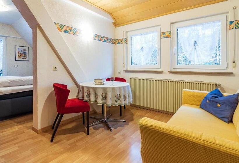 Апартаменты 1 Спальня с Балконом, Landpension Am Sommerhang