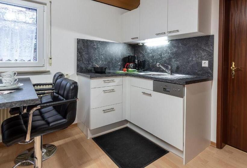 Апартаменты 1 Спальня с Балконом, Landpension Am Sommerhang