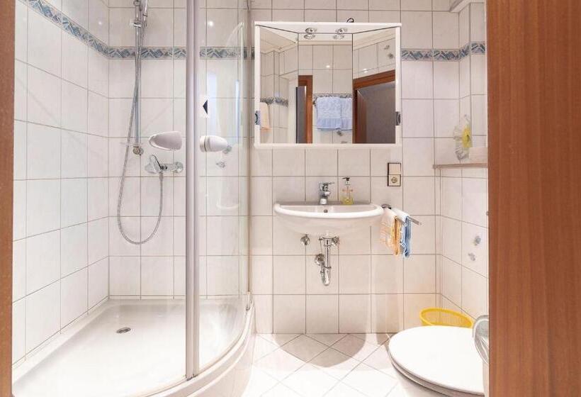 Апартаменты 1 Спальня с Балконом, Landpension Am Sommerhang