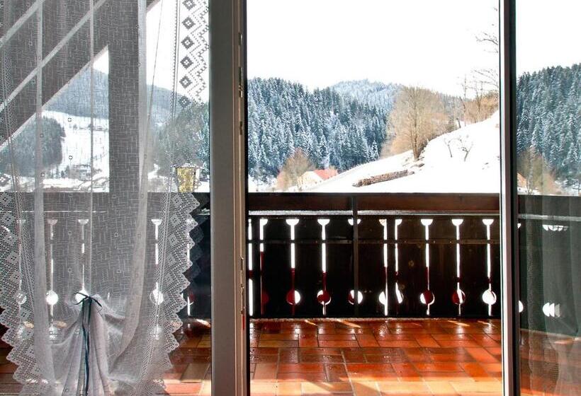 Номер Стандарт с Балконом, Landpension Am Sommerhang