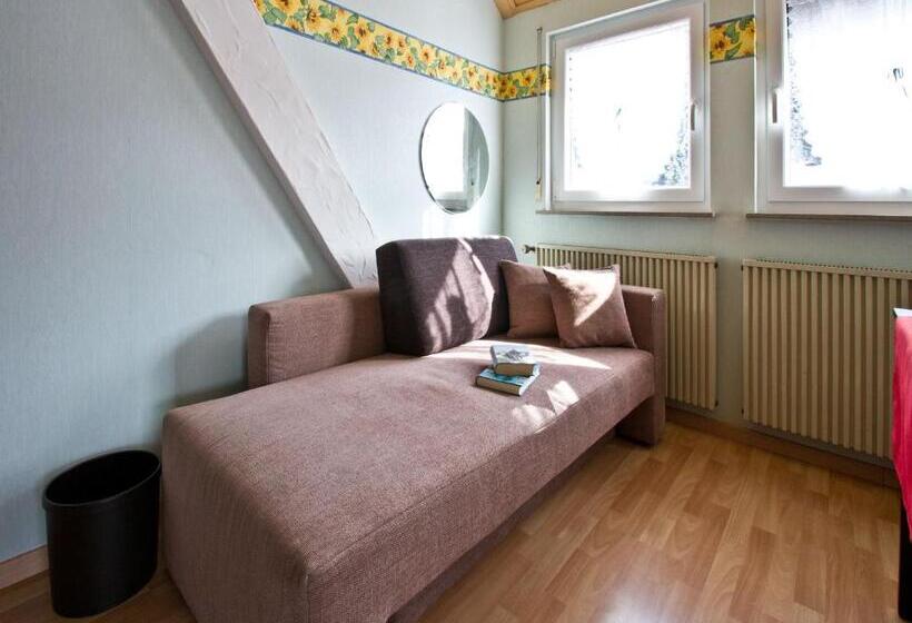 Номер Стандарт с Балконом, Landpension Am Sommerhang