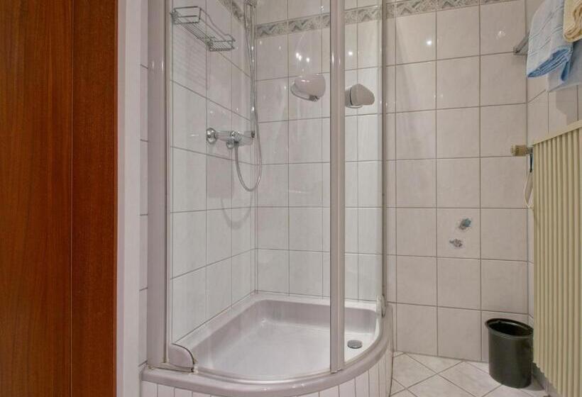 Номер Стандарт с Балконом, Landpension Am Sommerhang