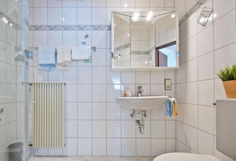 Номер Стандарт с Балконом, Landpension Am Sommerhang