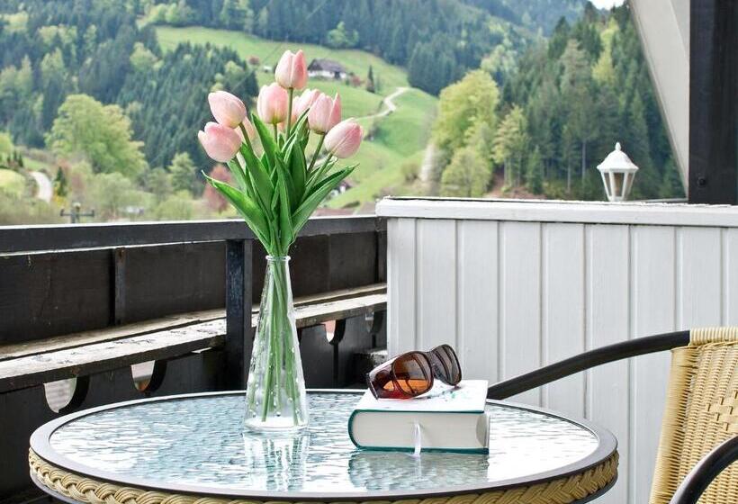 Номер Стандарт, Landpension Am Sommerhang