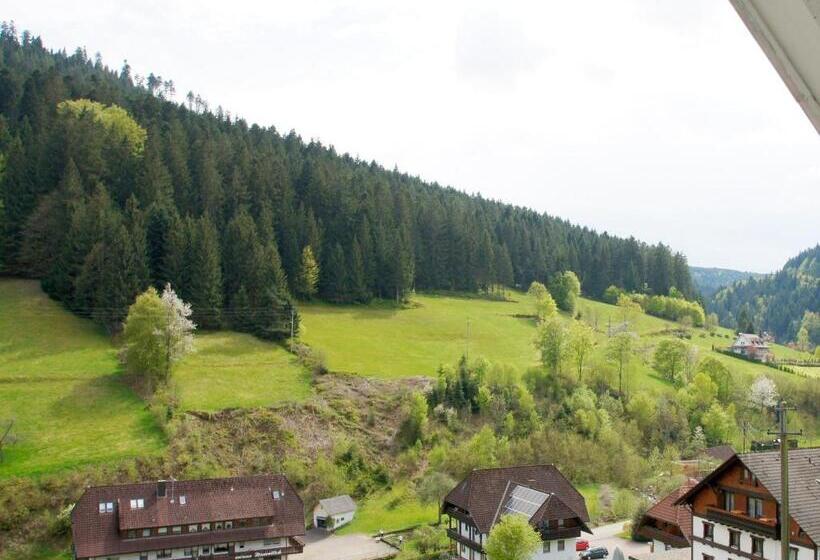 Номер Basic, Landpension Am Sommerhang