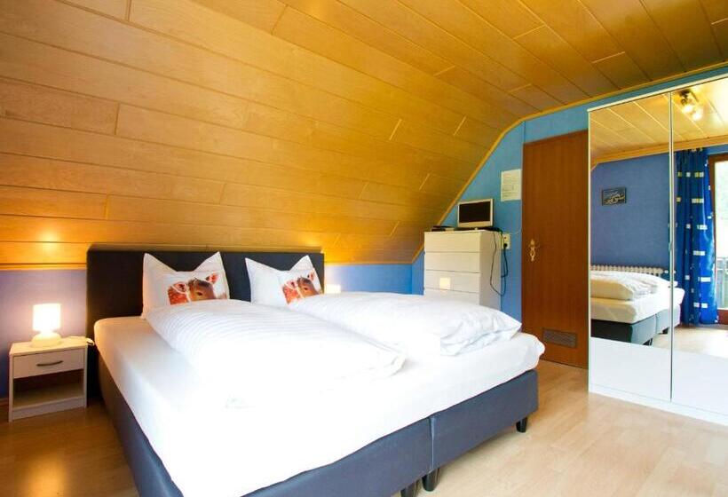 Номер Basic, Landpension Am Sommerhang