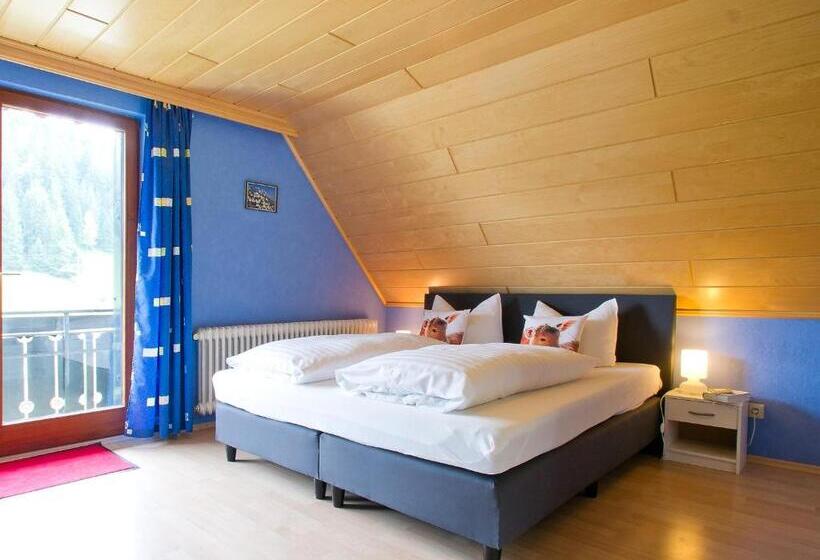 Номер Basic, Landpension Am Sommerhang