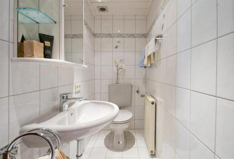 Номер Basic, Landpension Am Sommerhang