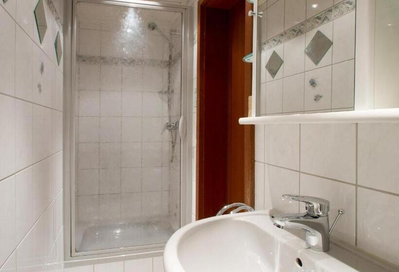 Номер Basic, Landpension Am Sommerhang