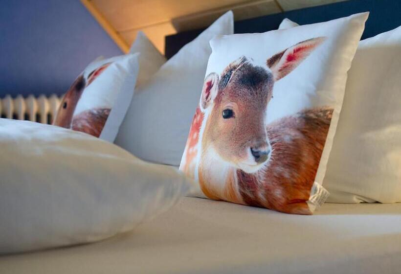 Номер Basic, Landpension Am Sommerhang