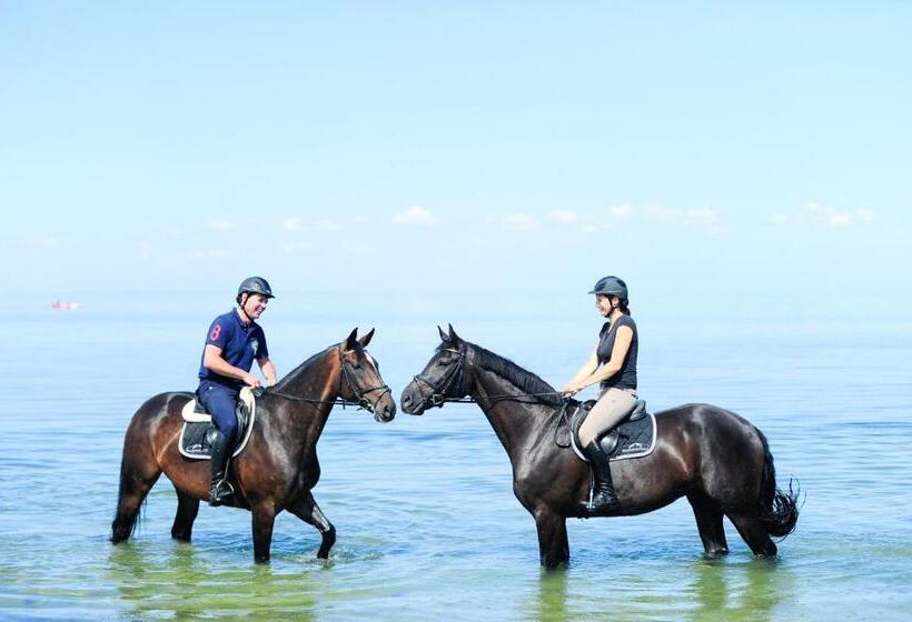 スタンダードルーム, Reitanlage Plath