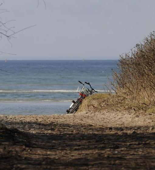 スタンダードルーム, Reitanlage Plath