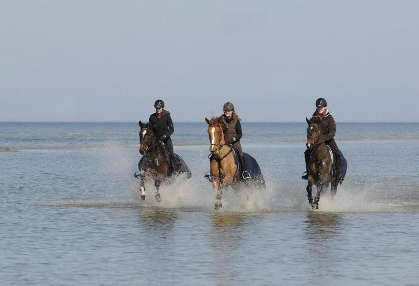 スタンダードルーム, Reitanlage Plath