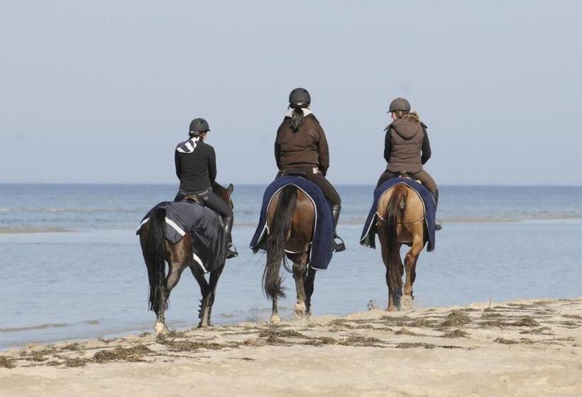 スタンダードルーム, Reitanlage Plath