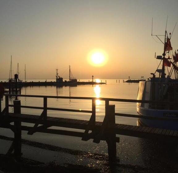 スタンダードルーム, Reitanlage Plath