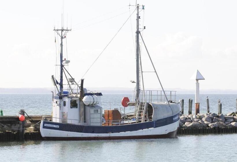 スタンダードルーム, Reitanlage Plath