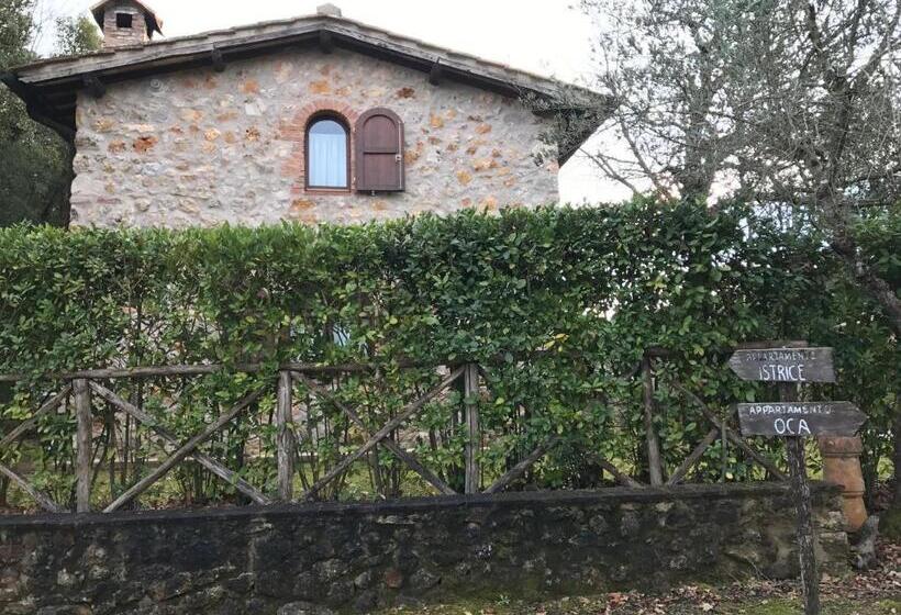 Дом 1 Спальня, Poggio Al Palio