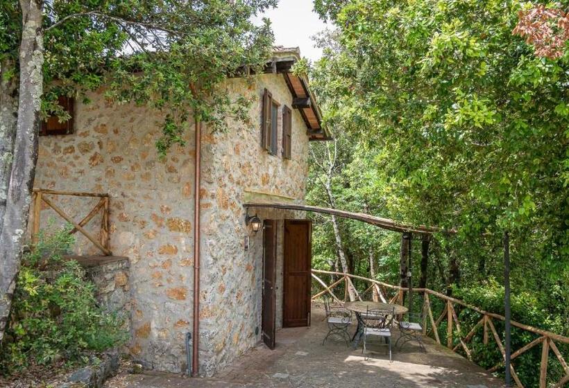 בית, חדר שינה 1, Poggio Al Palio