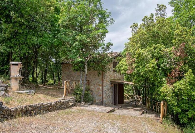 Дом 1 Спальня, Poggio Al Palio