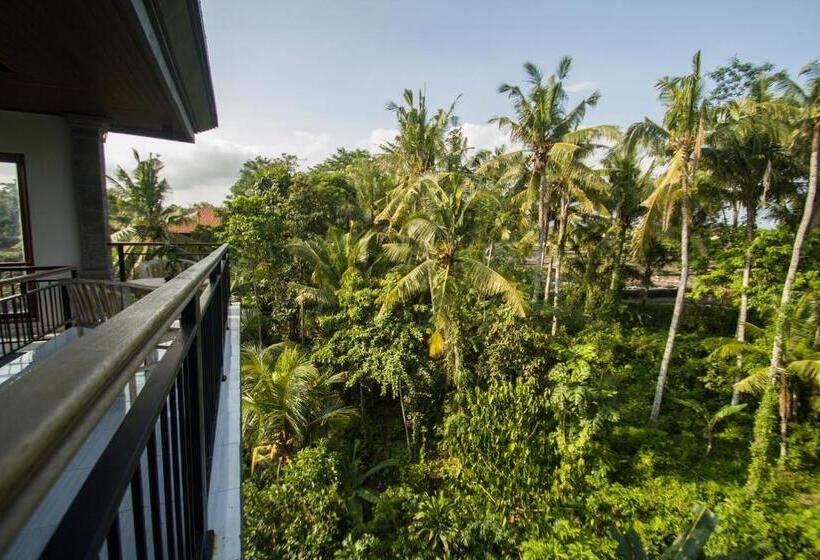 דירת פנטהאוז 1 חדרי שינה, Akusara House