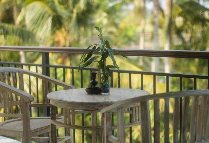 דירת פנטהאוז 1 חדרי שינה, Akusara House