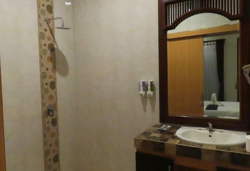 デラックスルーム, Asiana Lovina