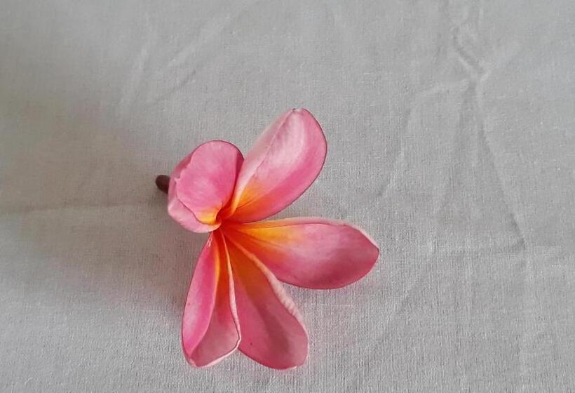 이코노미 룸, Bujang Lapuk Hostel