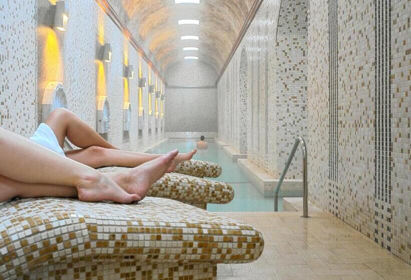 Номер Стандарт с доступом в Спа, Parque Balneario Termas Pallares