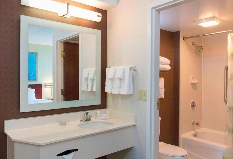 带大床的标准工作室, Springhill Suites By Marriott Peoria