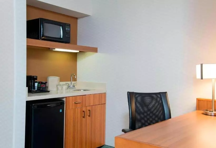 استودیو استاندارد با تخت کینگ, Springhill Suites By Marriott Peoria