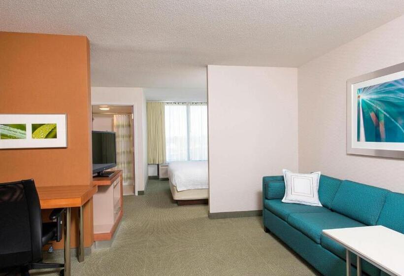 キングサイドベッドのスタンダードワンルーム, Springhill Suites By Marriott Peoria