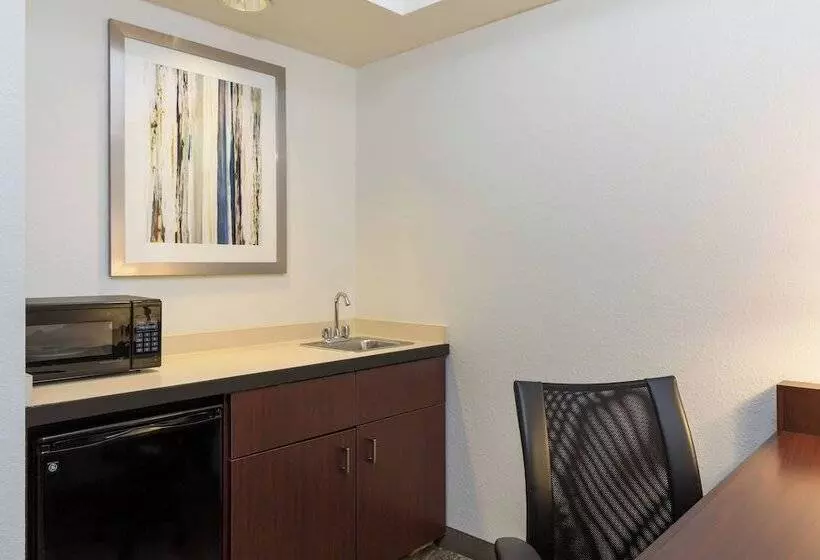 スイート, Springhill Suites Louisville Hurstbourne/north