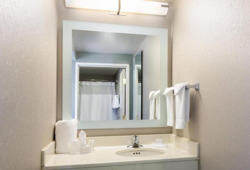 带大床的标准工作室, Springhill Suites Louisville Hurstbourne/north