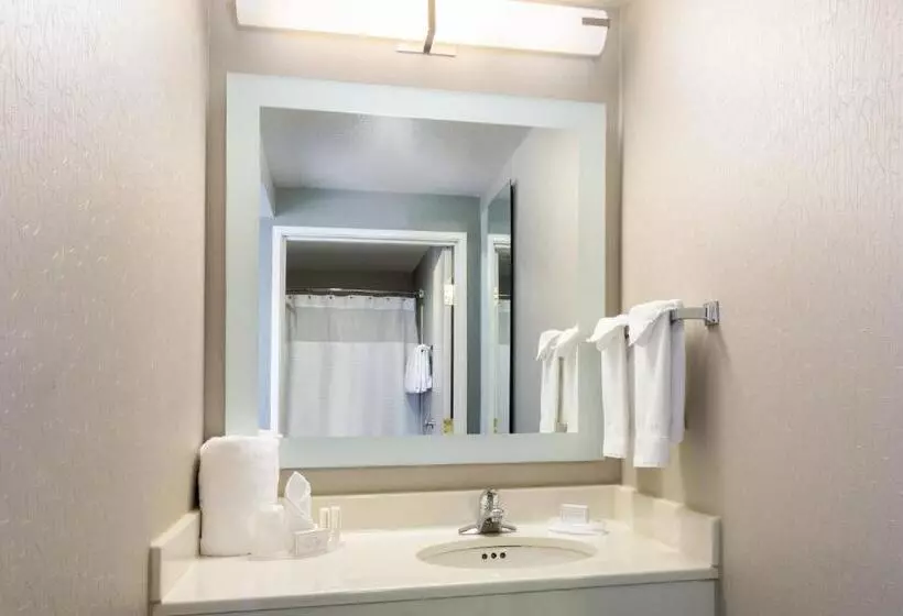 キングサイドベッドのスタンダードワンルーム, Springhill Suites Louisville Hurstbourne/north