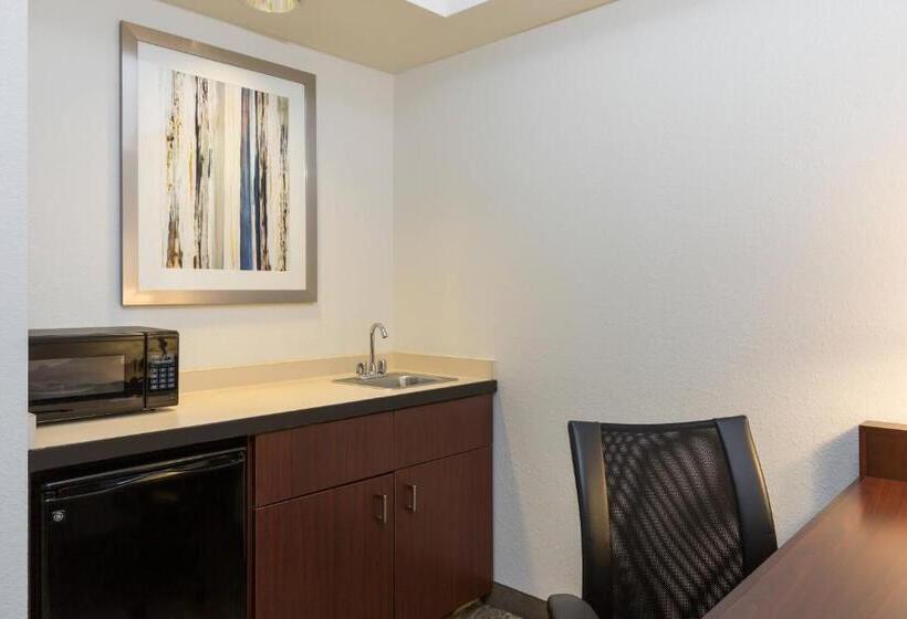 带大床的标准工作室, Springhill Suites Louisville Hurstbourne/north