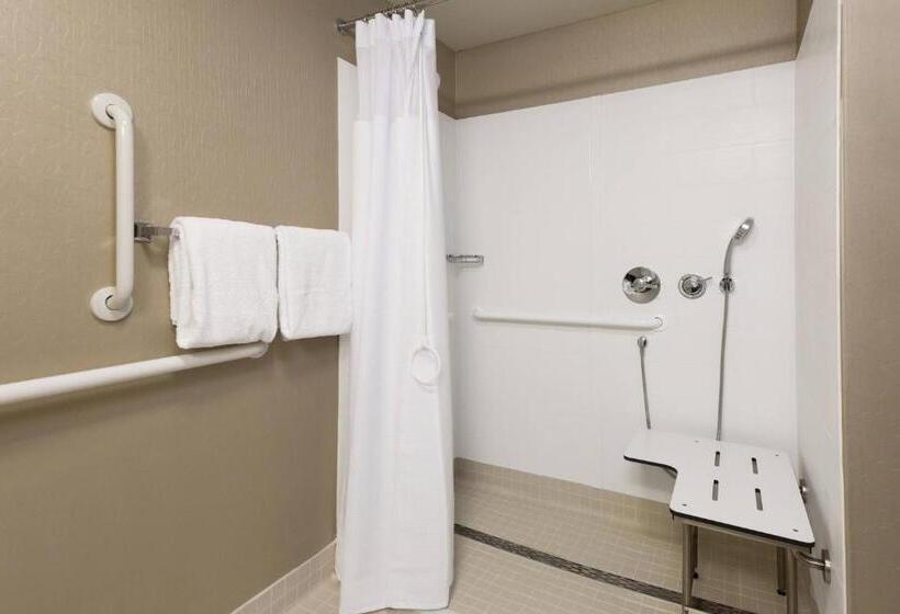 套房, Springhill Suites Louisville Hurstbourne/north