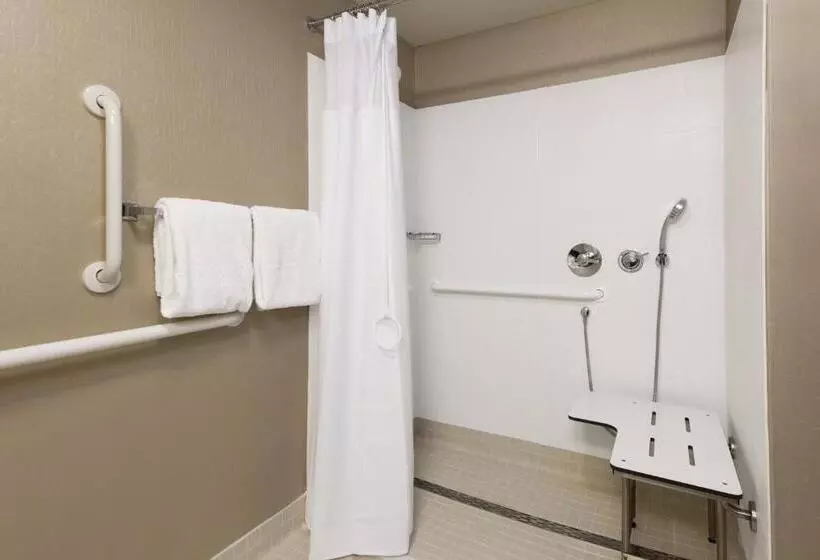 身障者適用スイートルーム, Springhill Suites Louisville Hurstbourne/north