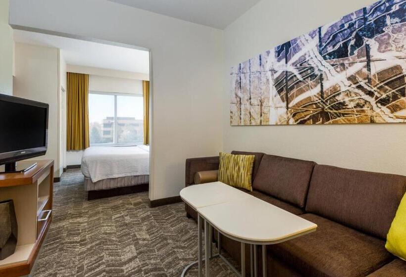 适合残疾人士使用的套间, Springhill Suites Louisville Hurstbourne/north