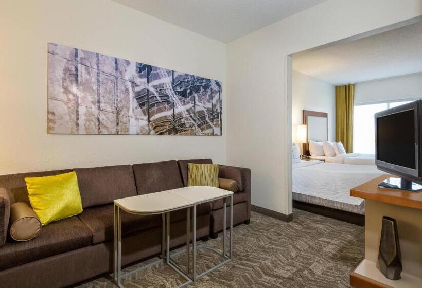 适合残疾人士使用的套间, Springhill Suites Louisville Hurstbourne/north
