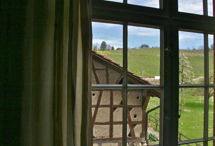 バス共有のスタンダードルーム, Hirschen Stammheim